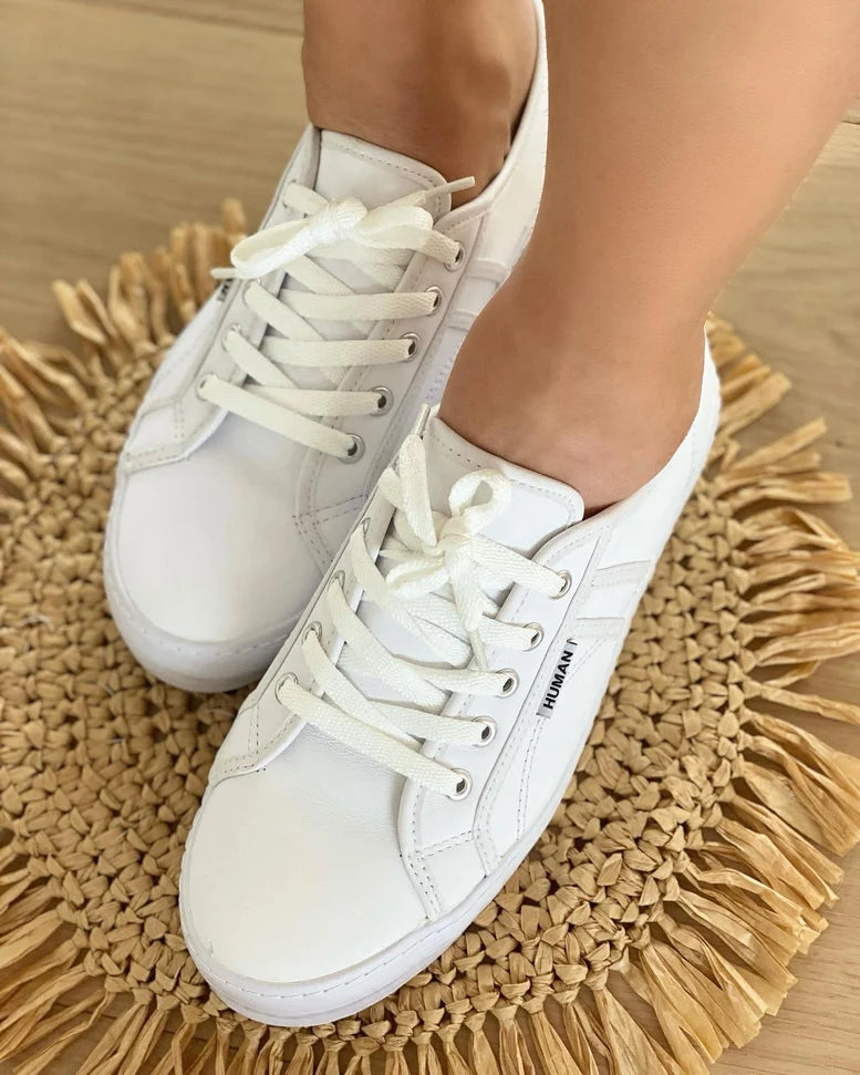 Human Premium Cass Sneakers